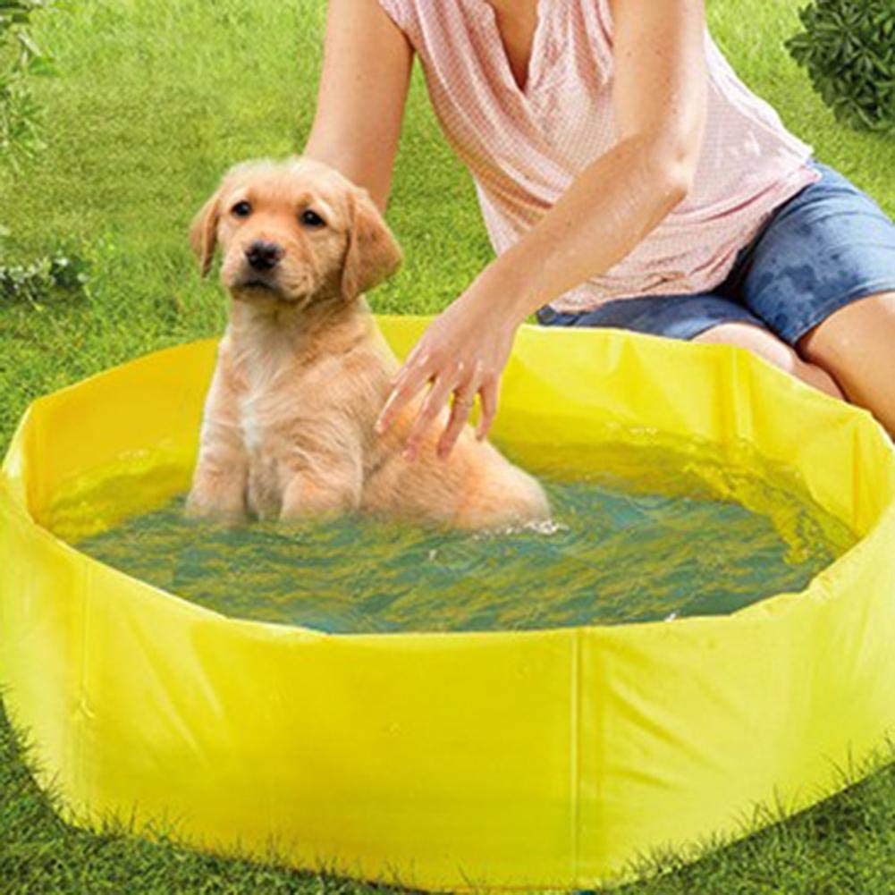 Dog paddling pool: Pidsen Swimming Pool Dog Bath review