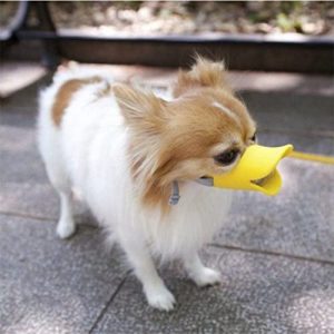 Dog muzzles to prevent biting