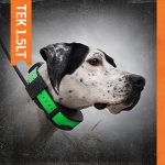 Best Gps dog collar:SportDog-TEK-Series-GPS