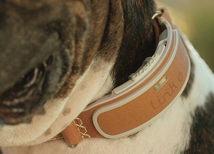 Link AKC Smart GPS Dog Collar