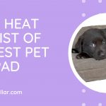 Puppy heat pad
